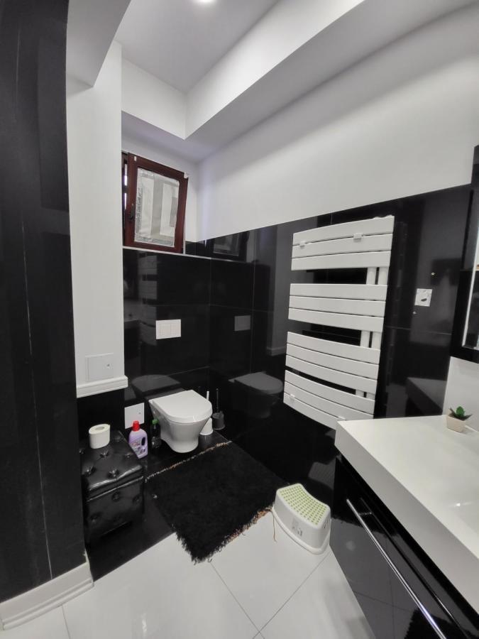 Large Luxury Apartment - Penthouse - Terrace Boekarest Buitenkant foto