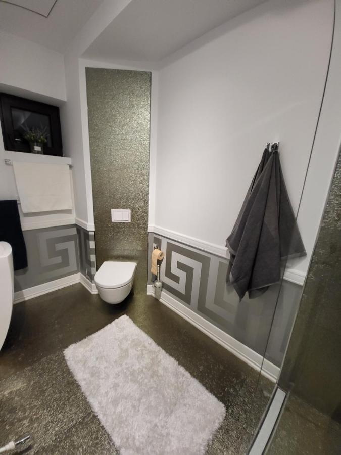 Large Luxury Apartment - Penthouse - Terrace Boekarest Buitenkant foto